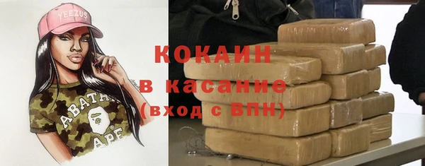 гашик Алзамай