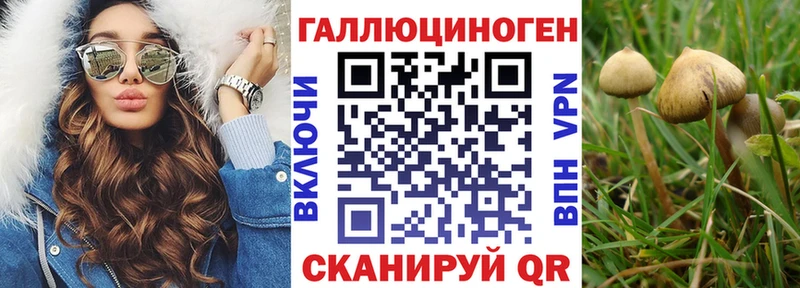 Галлюциногенные грибы GOLDEN TEACHER Кологрив